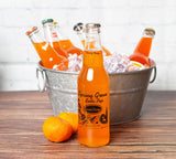 Ultimate ORANGE Soda Sampler - 12 oz (12 Bottles)