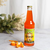 Filbert's Orange- 12 oz (12 Glass Bottles)